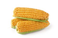 Sweetcorn